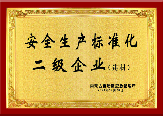 自治區(qū)安全生產(chǎn)標(biāo)準(zhǔn)化二級企業(yè)